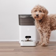 SmartFeeder for Cats and Dogs